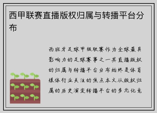 西甲联赛直播版权归属与转播平台分布