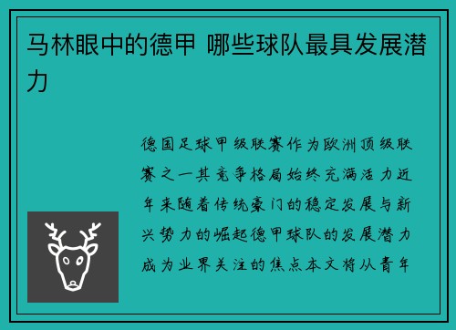 马林眼中的德甲 哪些球队最具发展潜力