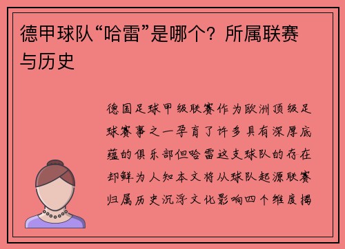 德甲球队“哈雷”是哪个？所属联赛与历史